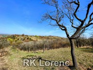 Obrázek k zakázce č.: 662646