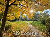 Obrázek k zakázce č.: 216405