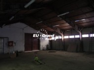 IMG_1109
