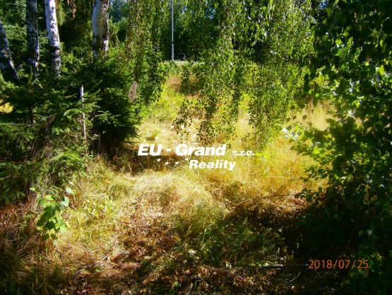 P7250022