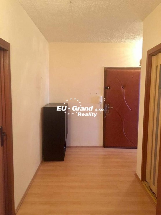 received_333650077245318