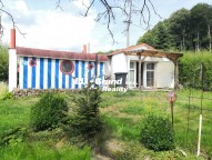 IMG_20200814_122039_resized_20200814_044132324