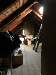 IMG_7853