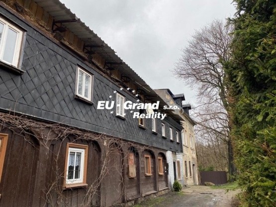 received_390447946650497-1