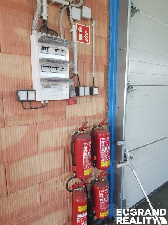 10_PHOTO-2026-02-03-09-39-14