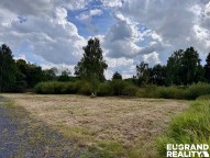 IMG_1184