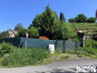 IMG_1283
