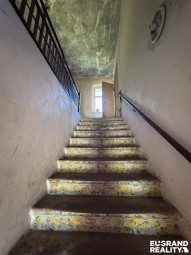 IMG_1493