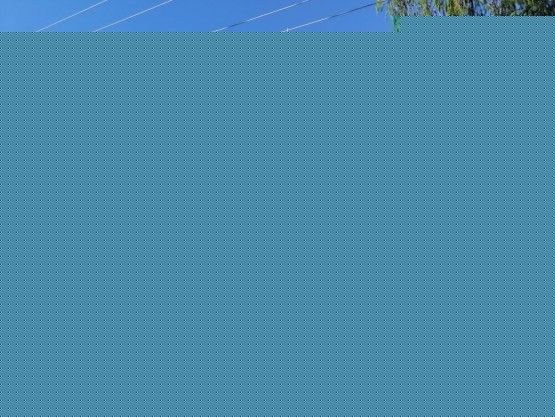 dji_fly_20260529_164228_0115_1780081491502_photo