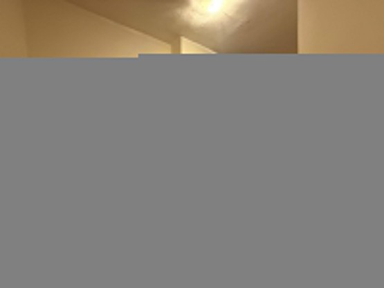 WhatsApp Image 2026-07-01 at 15.26.15 (1)