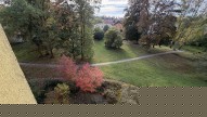 IMG_6517
