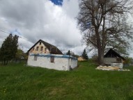 20210517-101707.jpg