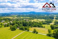 DJI_0979