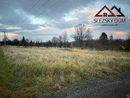 3af328220f2ce83e4e3691f21aa5cab447646