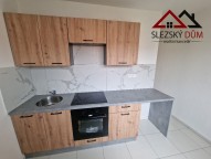 Detail: Pronájem bytu 2+1, 44 m2