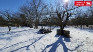 20250219_112825.jpg