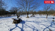 20250219_112658.jpg