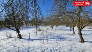 20250219_112819.jpg