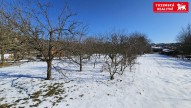 20250219_113107.jpg