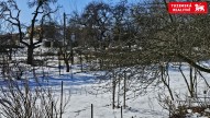 20250219_113808.jpg