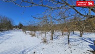 20250219_112743.jpg