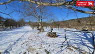 20250219_112624.jpg