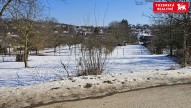 20250219_115059.jpg