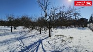 20250219_113038.jpg