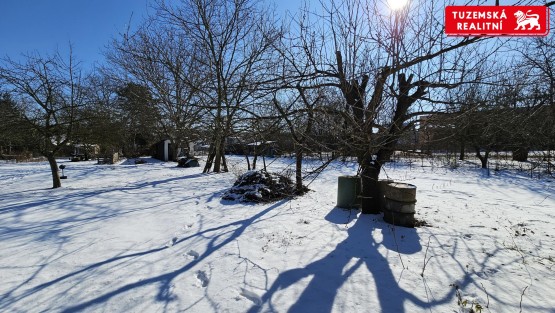 20250219_112825.jpg