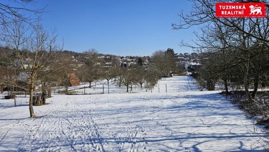 20250219_114936.jpg