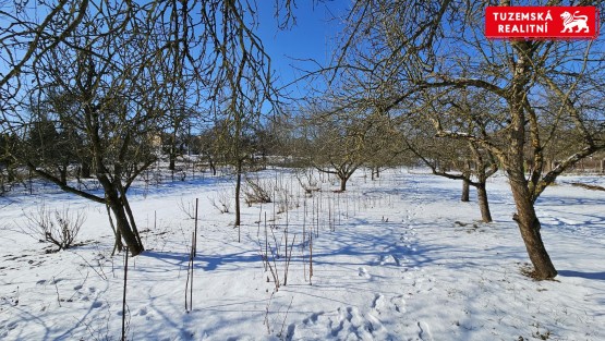 20250219_112819.jpg