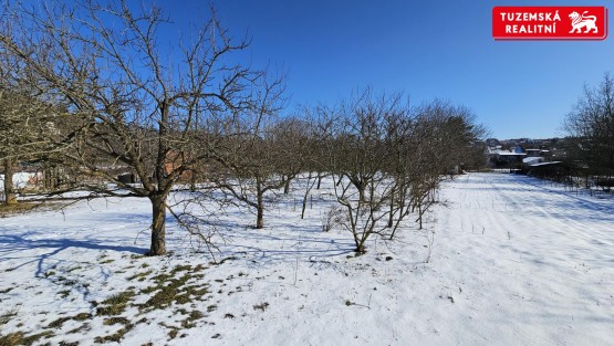 20250219_113107.jpg