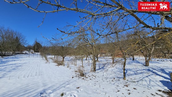 20250219_112743.jpg