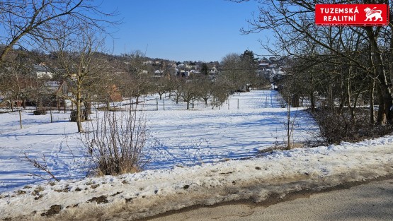 20250219_115000.jpg