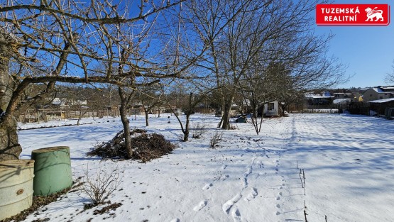 20250219_112747.jpg