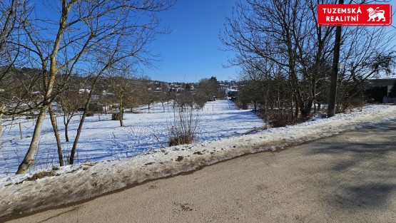 20250219_115051.jpg