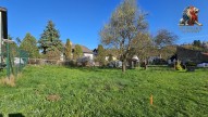 20260422_081638.jpg
