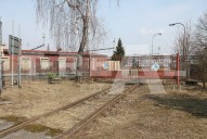 IMG_4604