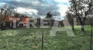 stažený soubor (1)