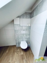 IMG_2517.jpg