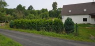 20180719-091933.jpg