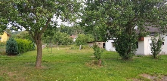 20180719-092003.jpg