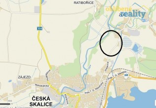 zlic1.jpg