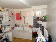 dsc01384.jpg