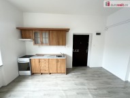 Detail: Pronájem bytu 1+1, 53 m2