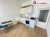 Detail: Pronájem bytu 1+1, 42 m2