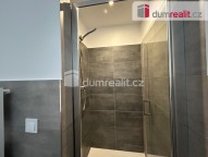 Detail: Pronájem bytu 2+1, 60 m2