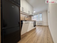 Detail: Pronájem bytu 1+1, 42 m2