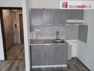 Detail: Pronájem bytu 1+kk, 29 m2