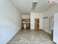 Detail: Pronájem bytu 1+1, 55 m2